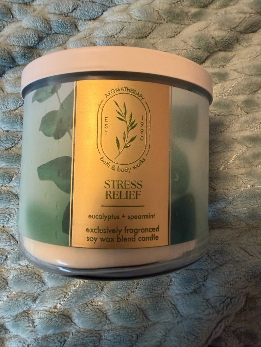 Bath & Body Works Aromatherapy Stress Relief
Candle - Eucalyptus + Spearmint - N